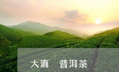 大滇 普洱茶/2023042677283